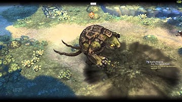 Tree of Savior: English iCBT1 - Wizard Gameplay Beginning