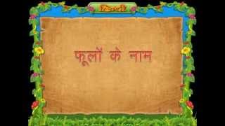 Flowers Name In Hindi For Class 3 Kids Youtube Flowers Name In Hindi For Class 3 Kids Youtube