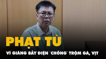 Giăng bẫy điện 100m² 