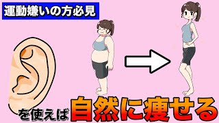 【耳つぼダイエット】耳を押すだけの簡単ダイエット法を徹底解説！食事制限なし運動なしで痩せるにはもうこれしかないかも。。。