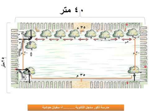 فيديو: كيف تنظم مزرعة