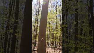 When Did You Last Sit In Total Silence?"