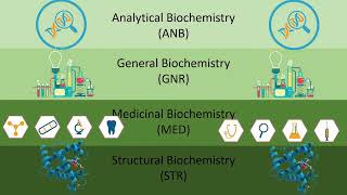 Intel ISEF Research Categories
