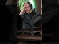 Outer Wilds: Herzkasper | #twinsen_tv auf #Twitch