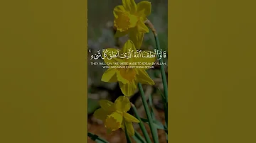 من أعظم مشاهد الآخرة بصوت يزلزل القلوب محمد صديق المنشاوي 