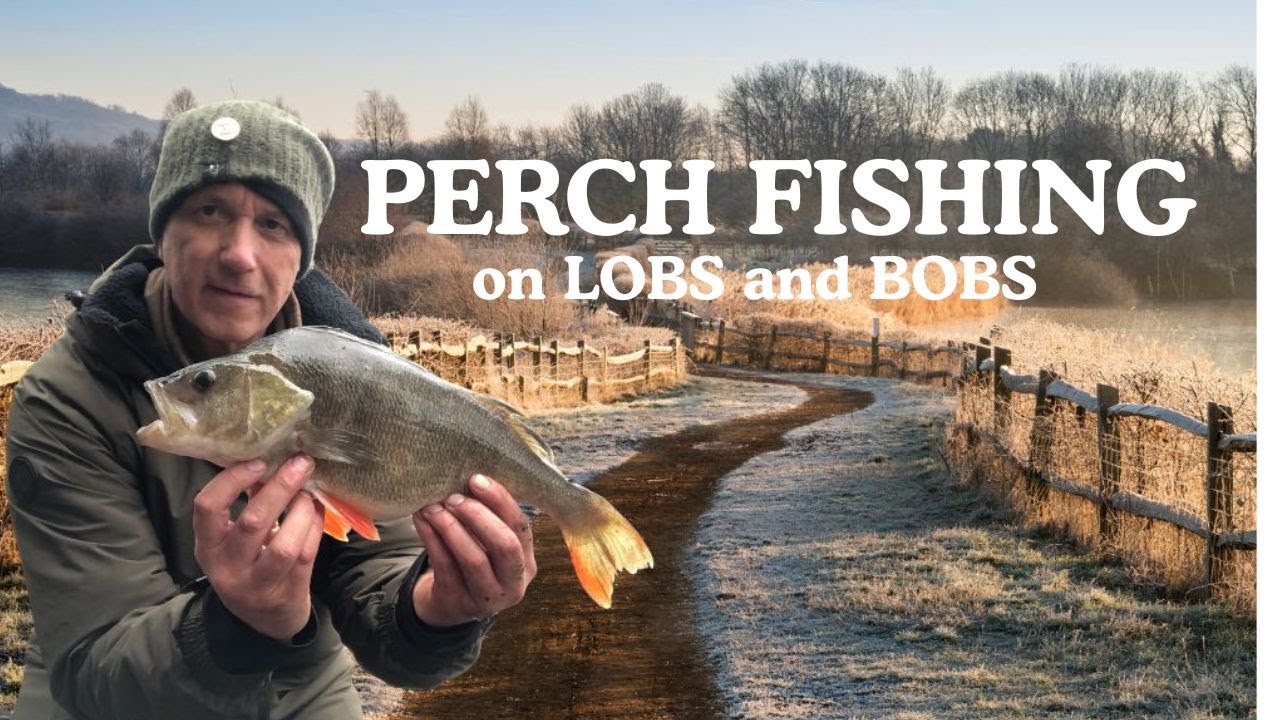 Традиционная ловля крупного окуня: поплавки, наживка из червей и креветок.