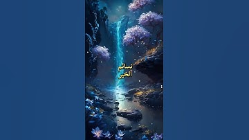 سورة الإخلاص بصوت القارئ الشيخ عامر الكاظمي