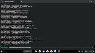 How to run AppImages on a chromebook.