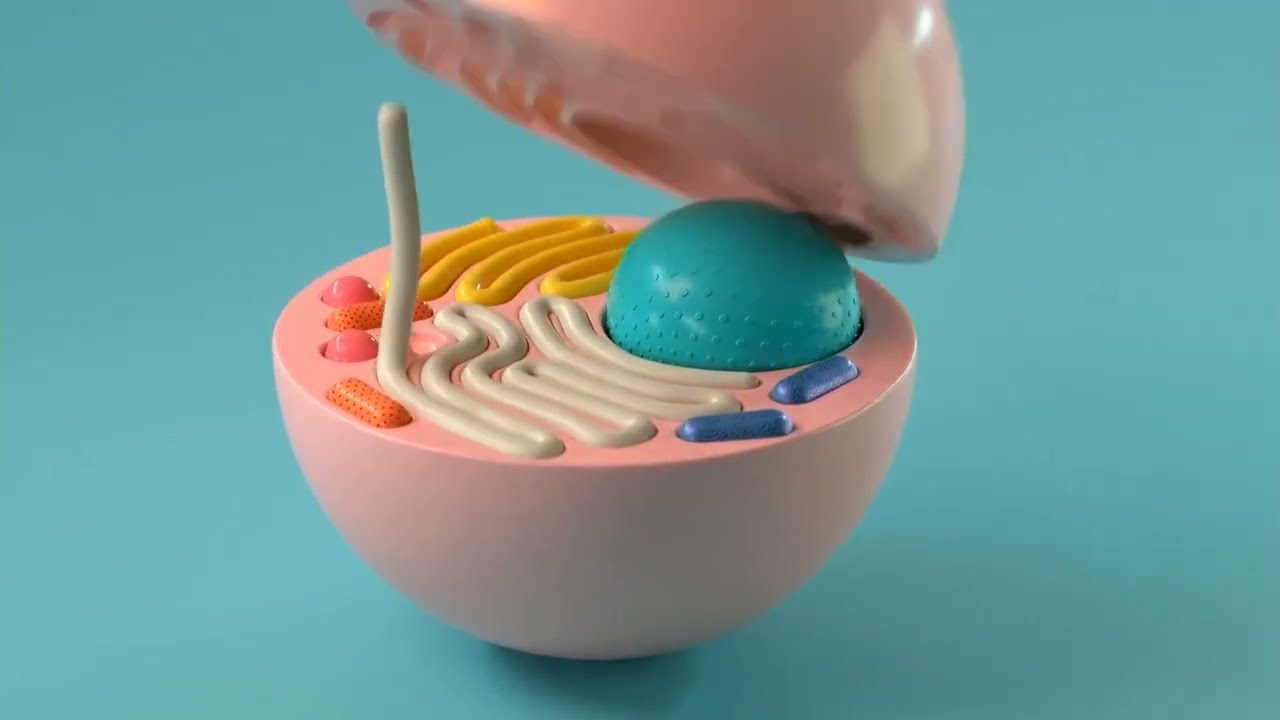 Томас Браун и Аманда Слэйд – Медицинская анимация с использованием системы симуляции Cinema 4D – ...