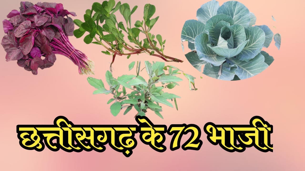 छत्तीसगढ़ की 36 भाजी|Chhattisgarh ki 36 भाजी|