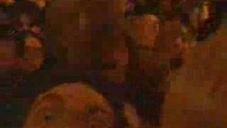 Metallica-Avril Lavinge - Fuel LIVE