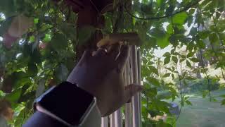 Memorial Wind Chimes Outdoor Large Deep Tone, Sympathy Wind Chime Review
