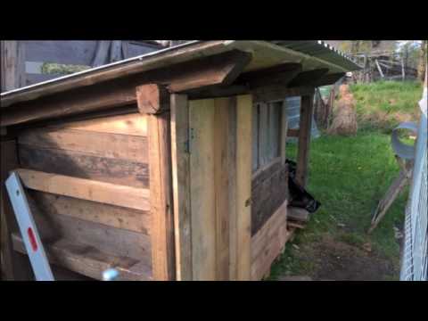 Video: Kurník pro 20 kuřat. Jak postavit teplý kurník