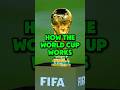 How Does The World Cup Work?