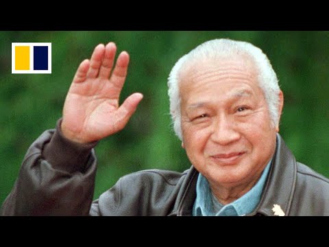 Indonesia names Suharto national hero despite protests