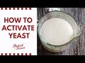 How to activate dry yeast (Be sure it's alive!)