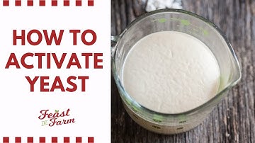 How to activate dry yeast (Be sure it
