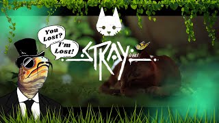 I Think I'm Lost  Stray Playthrough Episode 1