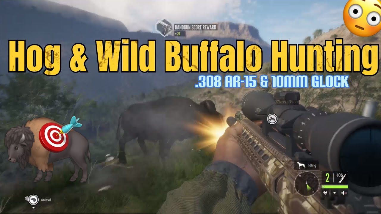 POV: (INTENSE) Buffalo & Wild hog hunting- MUST SEE😭 #gameplay #hunting ...