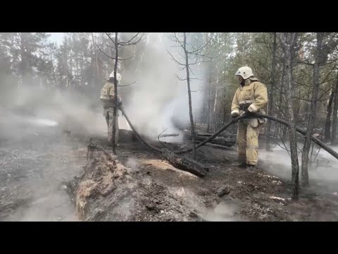 Выявлять лесные пожары в Казахстане доверят искусственному интеллекту