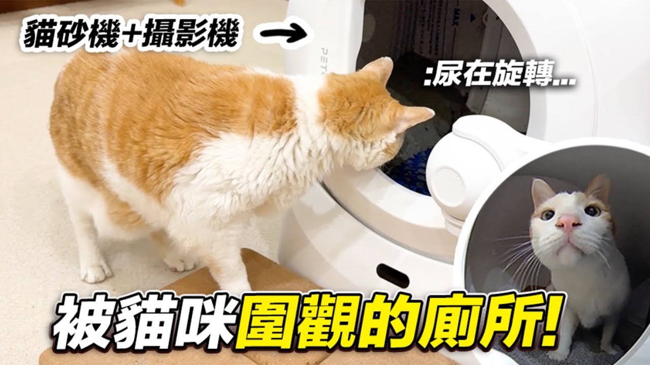 【被貓咪圍觀的廁所！可錄影的貓砂機！】志銘與狸貓｜開箱PETKIT貓砂機ULTRA