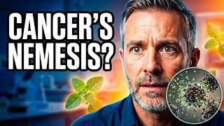 "Can Oregano Oil Help Fight Cancer? What the Research Says"