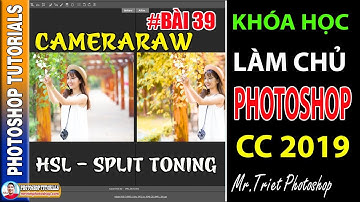 Bài 39: Camera Raw: Cách Sử Dụng HSL, Split Toning 🔴 Làm Chủ Photoshop CC 2019