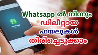 How to Recover Deleted Photos, Videos and Chats From Whatsapp screenshot 3
