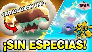 Todas las RECETAS SHINY de Bocadillos en Pokémon Escarlata y Púrpura - Team  Eevee