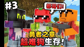 「你们不要再打啦！！」超级困难生存勇者之章第三集