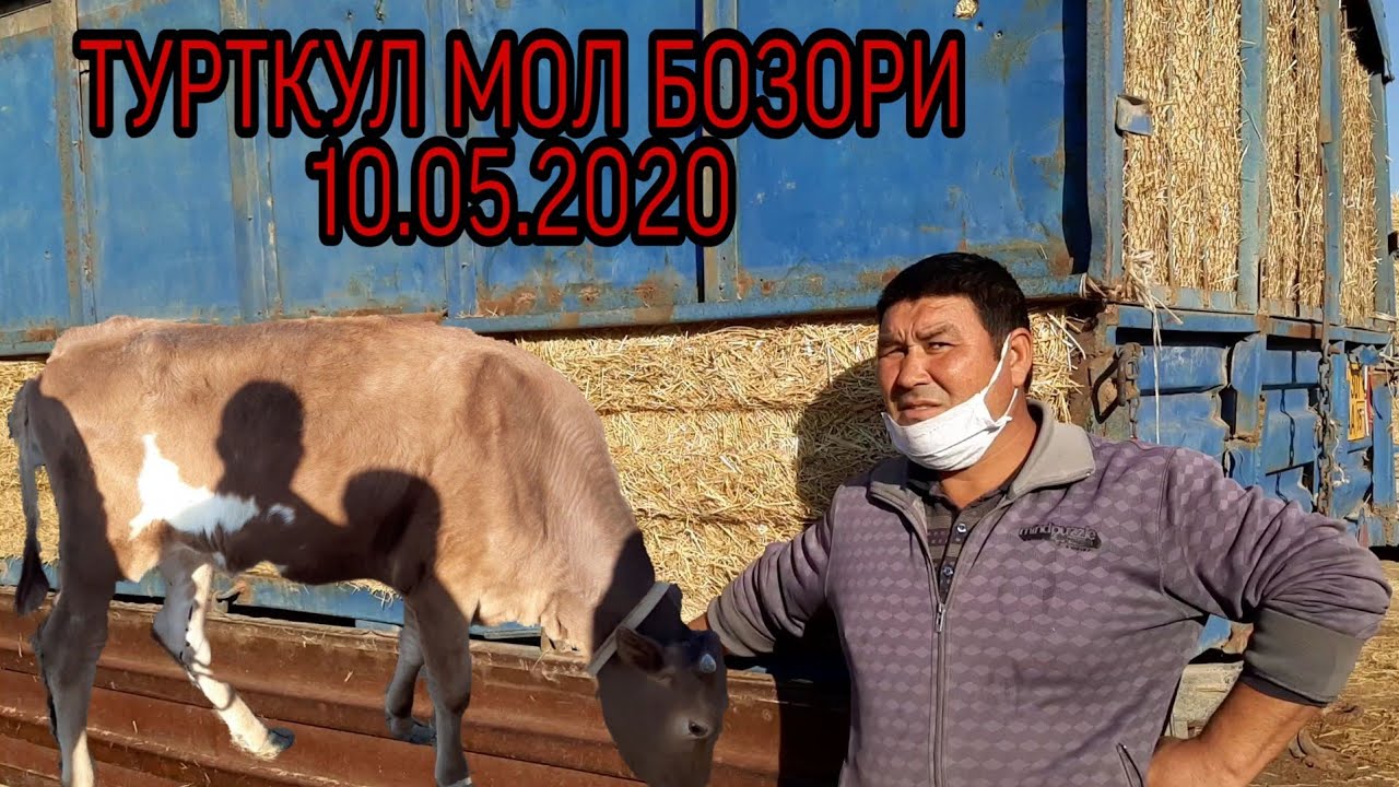 Турткул машина бозори