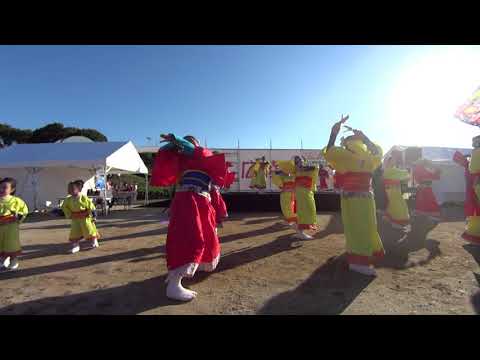 23 夢舞隊 広陵フェス よさこいステージ  Wide