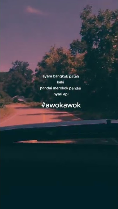 story wa para penghobi ayam#short #ayambangkok #ayamsuper