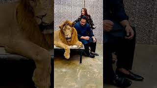 sher ha cat nhi... 🙀😡😨 #ytshorts #lion #tiger #viral #shorts #trending #reactionvideo