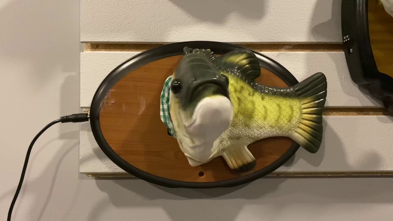 The dancing and singing fish - YouTube