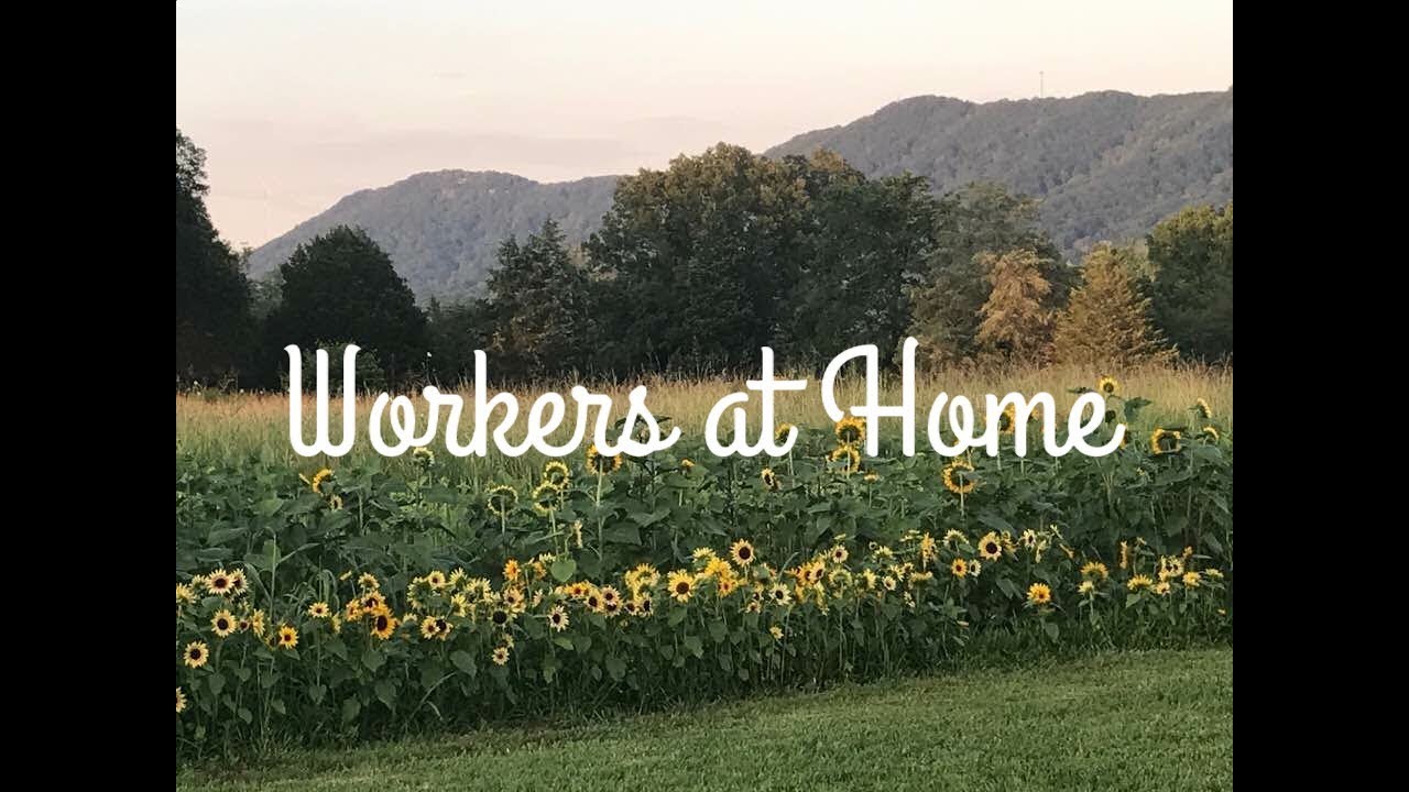 Titus 2 Woman Series|Workers at Home