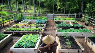 Garden Harvest Compilation