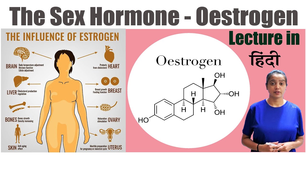 The Sex Hormone Oestrogen in ! Hindi YouTube