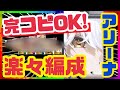 【メガニケ】このままやって❗️絶対差がつくアリーナ編成組み方❗️【NIKKE】