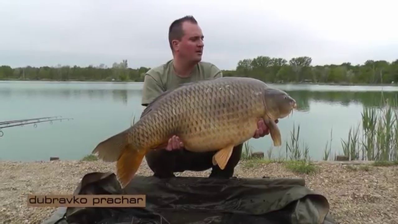 Carp fishing: unlocking the springcode Teaser one / Lake Sumbar HR