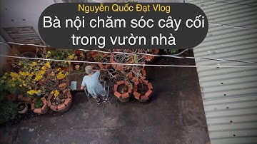 Nguyễn Quốc Đạt Vlog | Bà nội chăm sóc cây cối trong vườn nhà