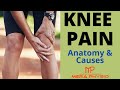 Knee Pain | Introduction, Anatomy of Knee Joint, Causes of Knee Pain | In Hindi | Mera Physio