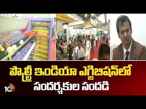 Poultry India Exhibition 2025 | పౌల్ట్రీ ఇండియా ఎగ్జిబిషన్‌లో సందర్శకుల సందడి | 10TV News - 10TVNEWSTELUGU