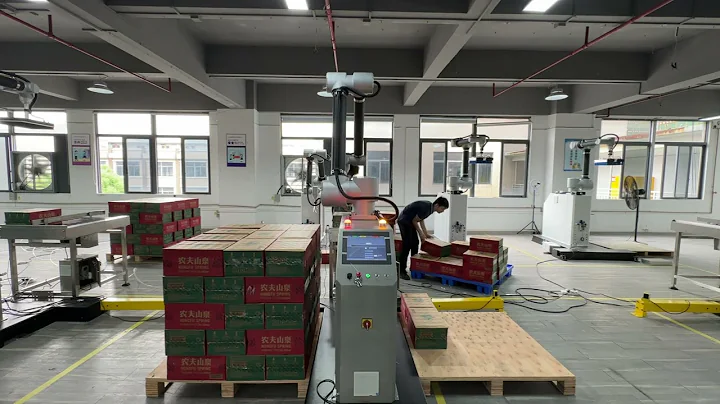 Warsonco Palletizing Robot Palletizing Both Sides Automatically#cobotpalletizer #palletizer