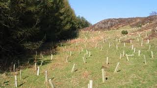 Habitat conservation | Wikipedia audio article
