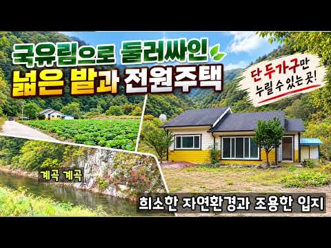 (522)영덕부동산 국유림과 계곡 접한 867평의 넓은 농지와 전원주택  