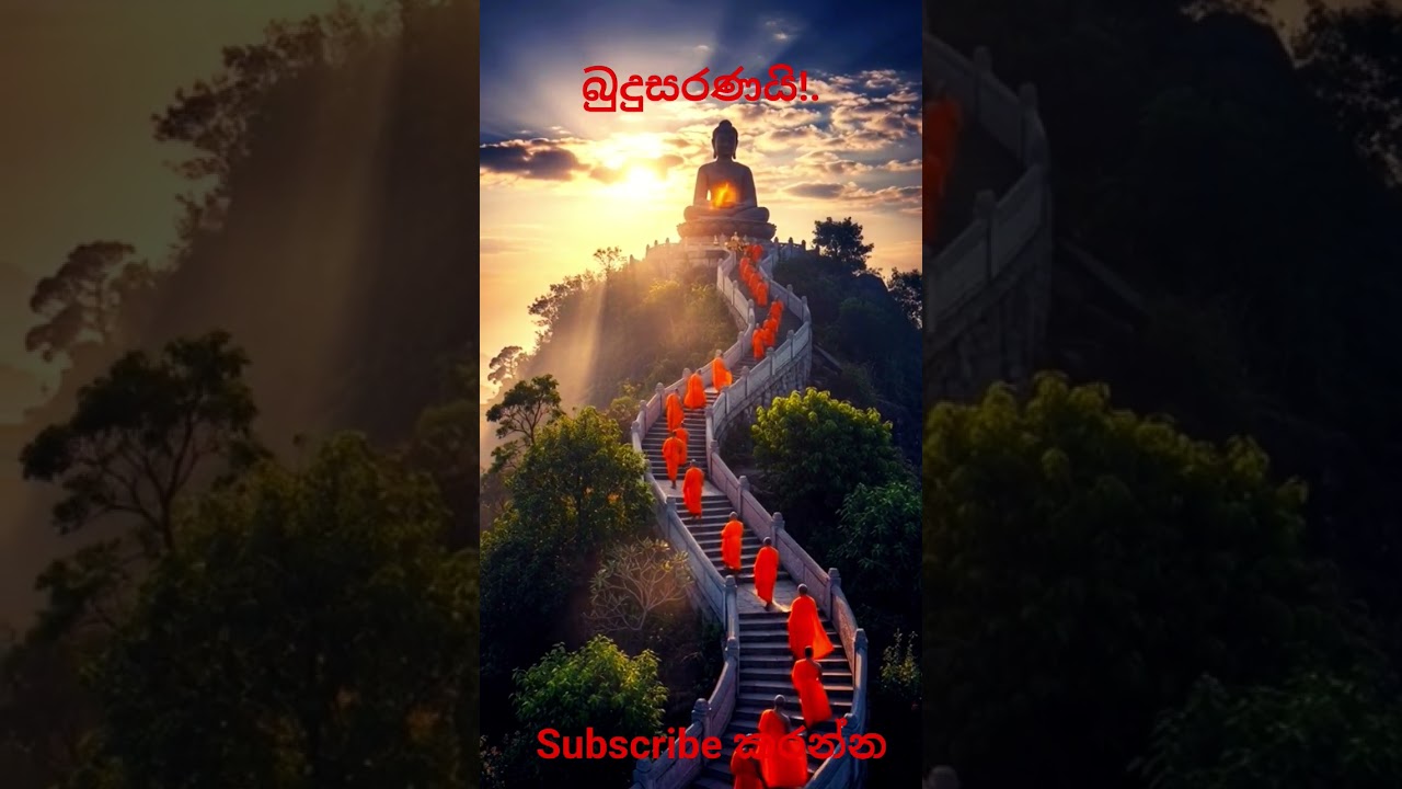 Bawa rogeta osuwak.🙏