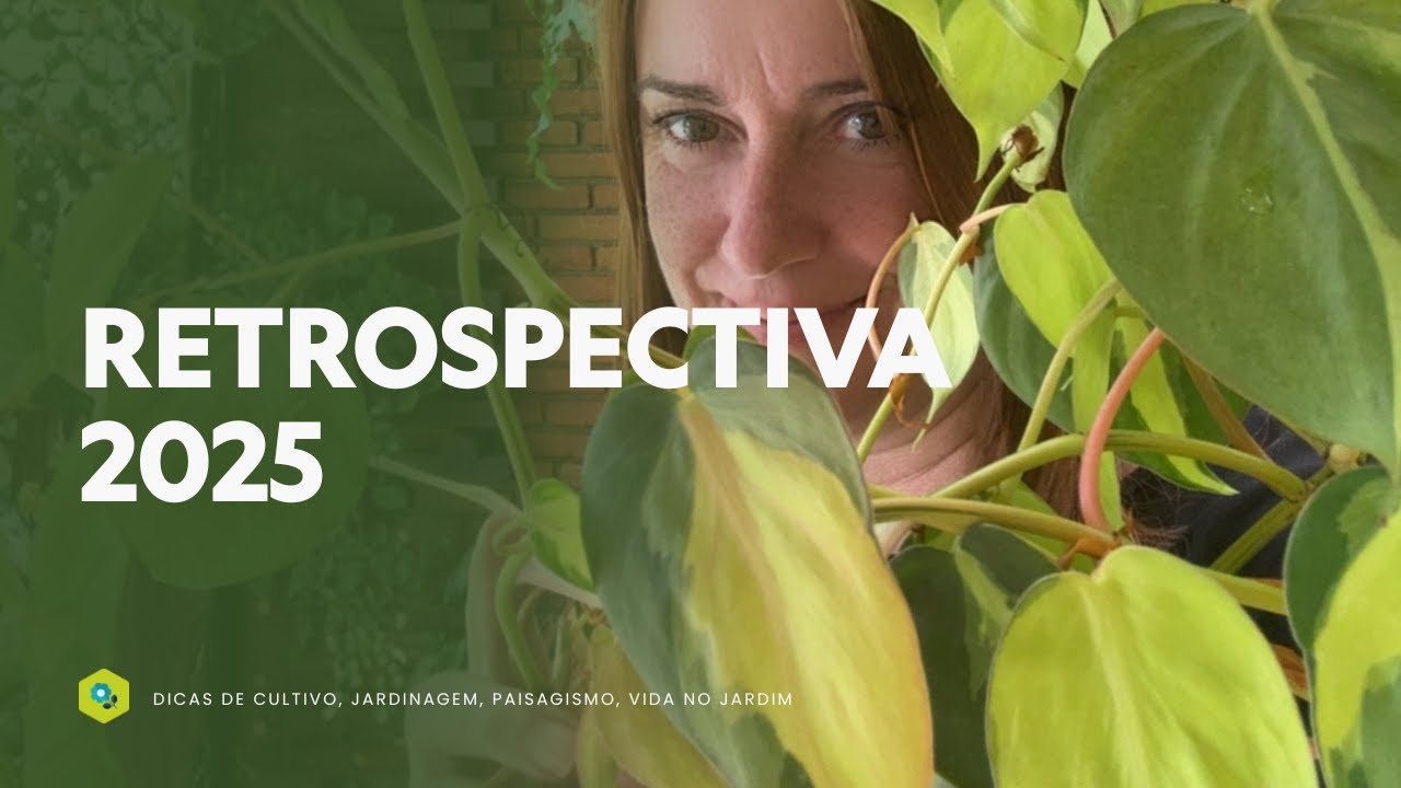 Retrospectiva 2025 - Vida no Jardim