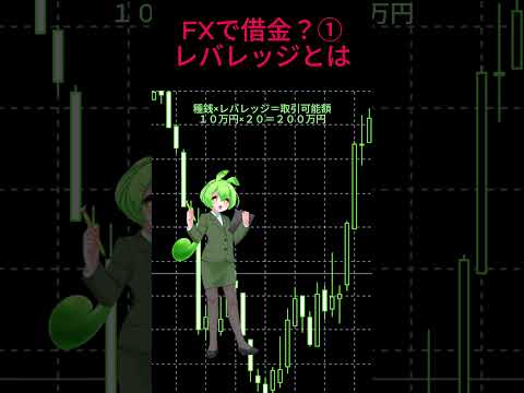 fxで借金？①〜レバレッジとは