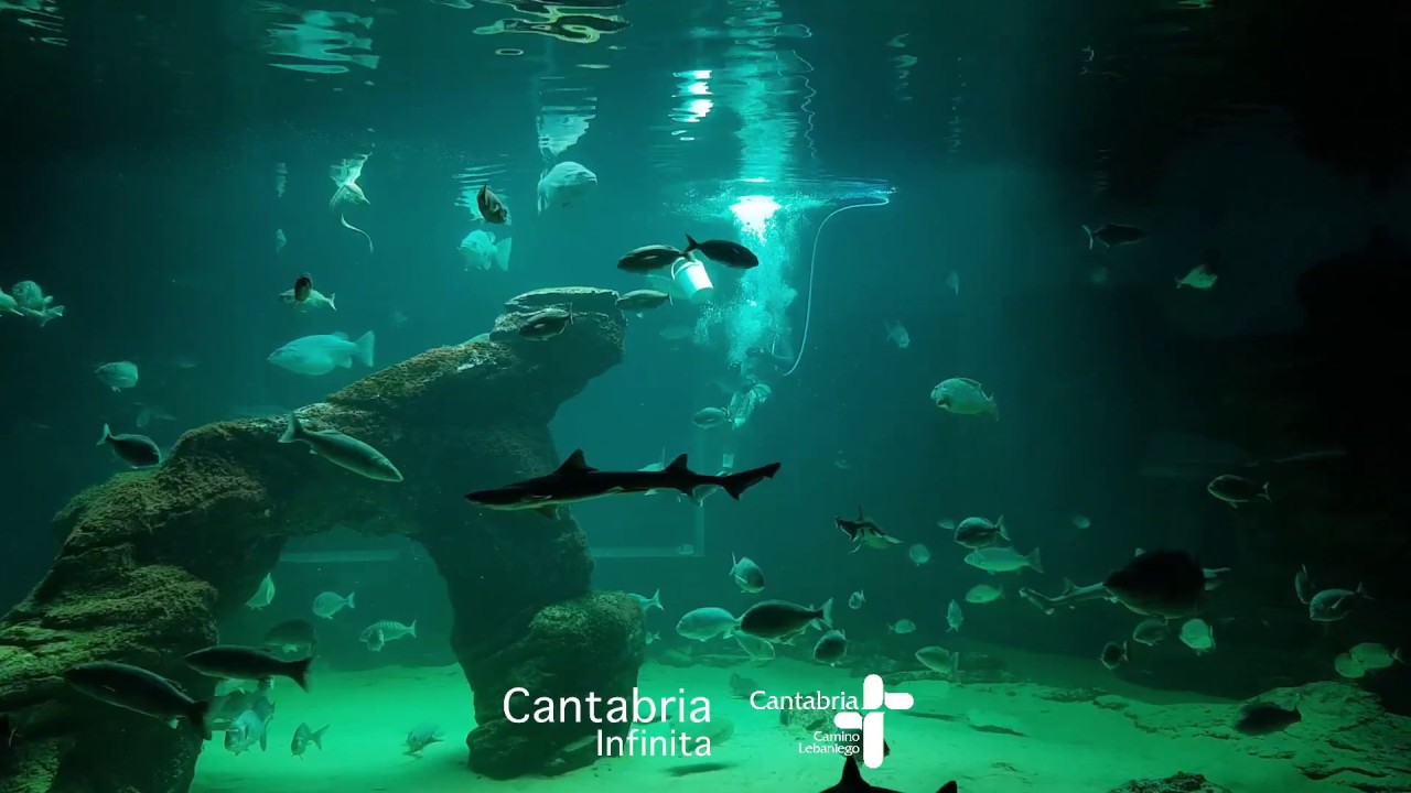 Museo Marítimo del Cantábrico de SANTANDER